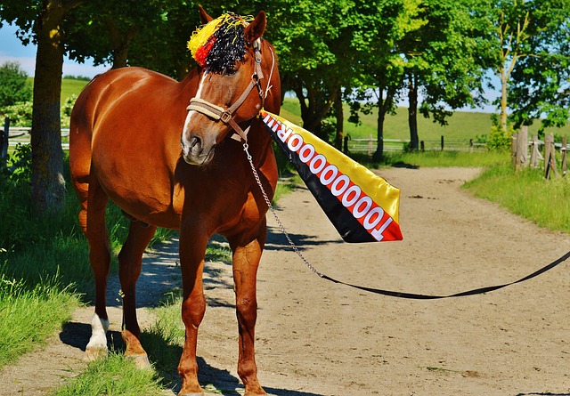 乐部或许需 乐部或许需