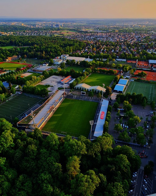 挠的斗志 挠的斗志