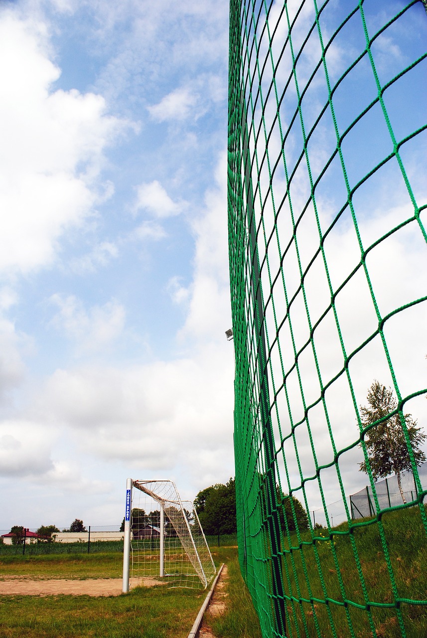 获全国冠军 获全国冠军