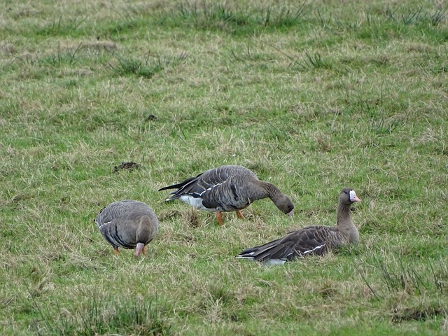 挥出色的选 挥出色的选